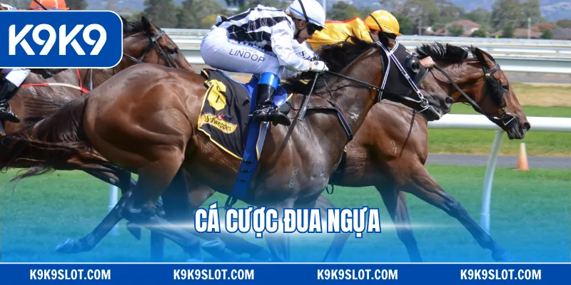 Cá cược đua ngựa