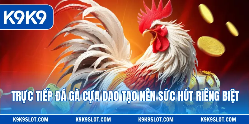 Trực tiếp đá gà cựa dao tạo nên sức hút riêng biệt